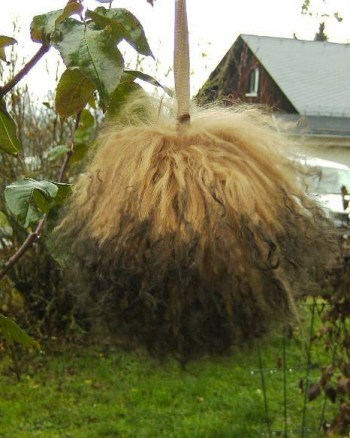 Keine Abbildung zugeordnet 